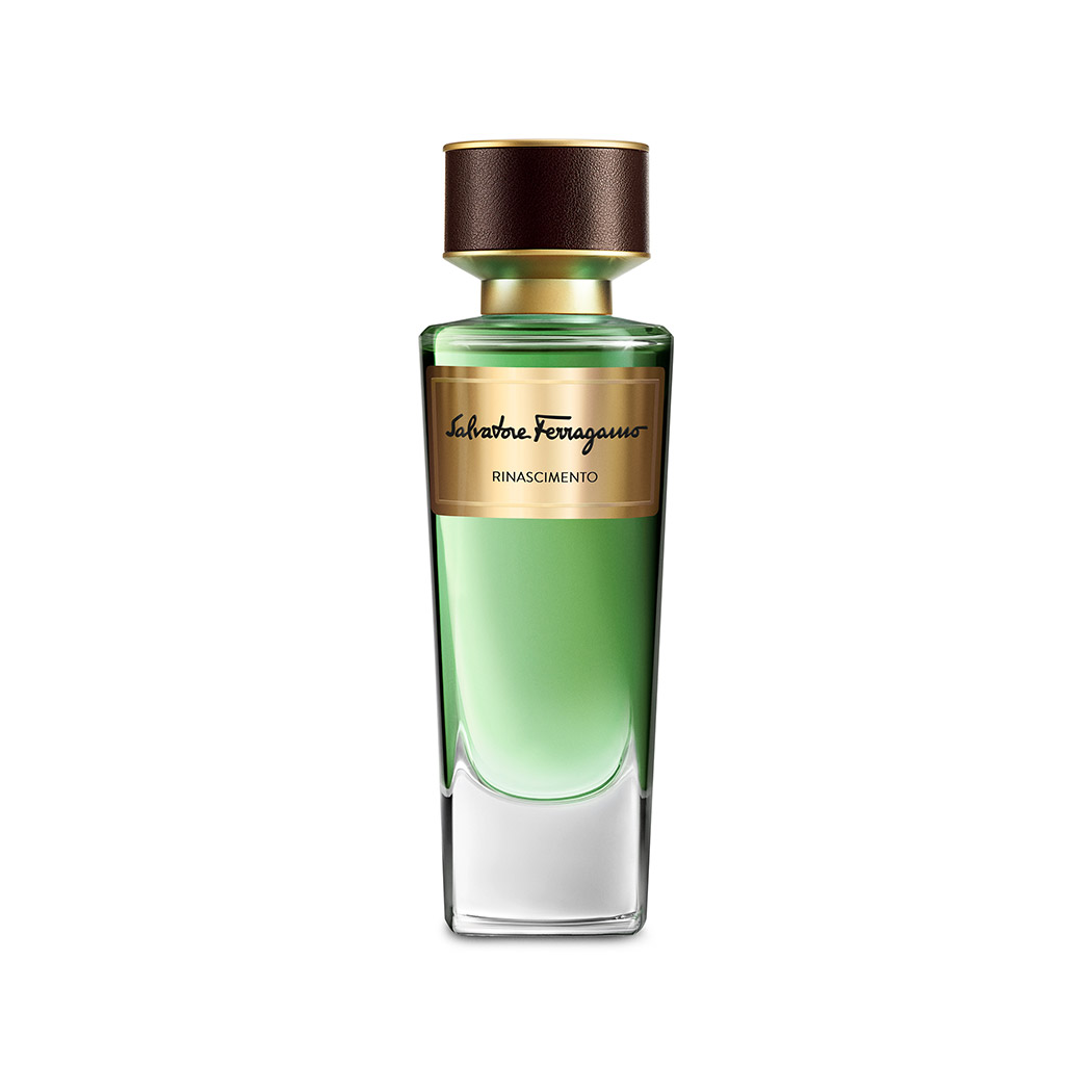 Rinascimento EDP